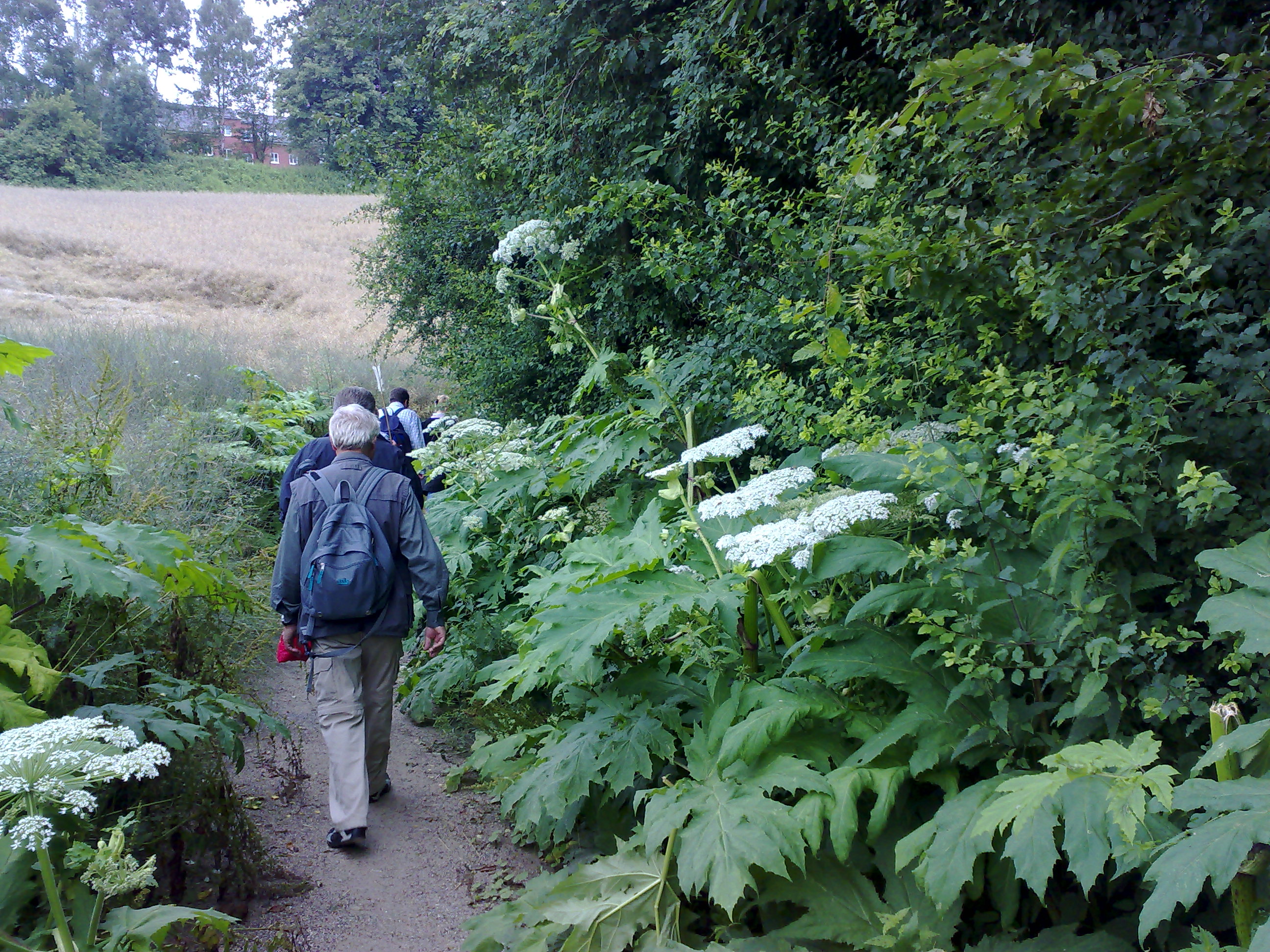 30062007305.jpg