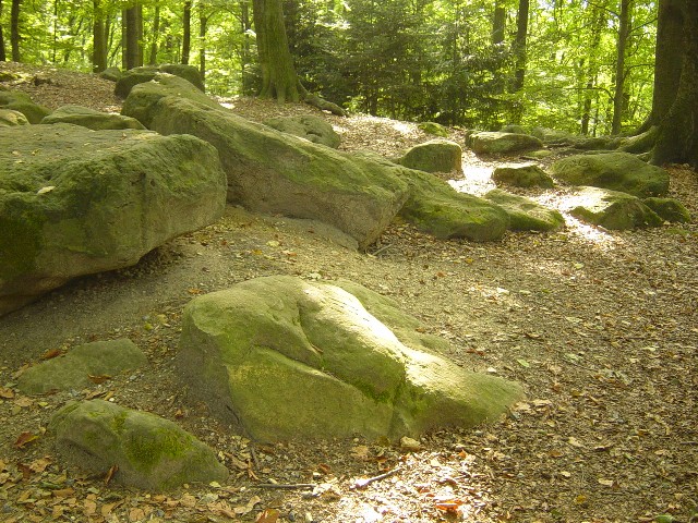 Aaper Wald- Frauensteine.JPG